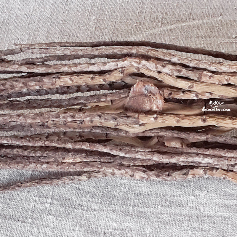 « Branche-bâton d'Inde séchée »