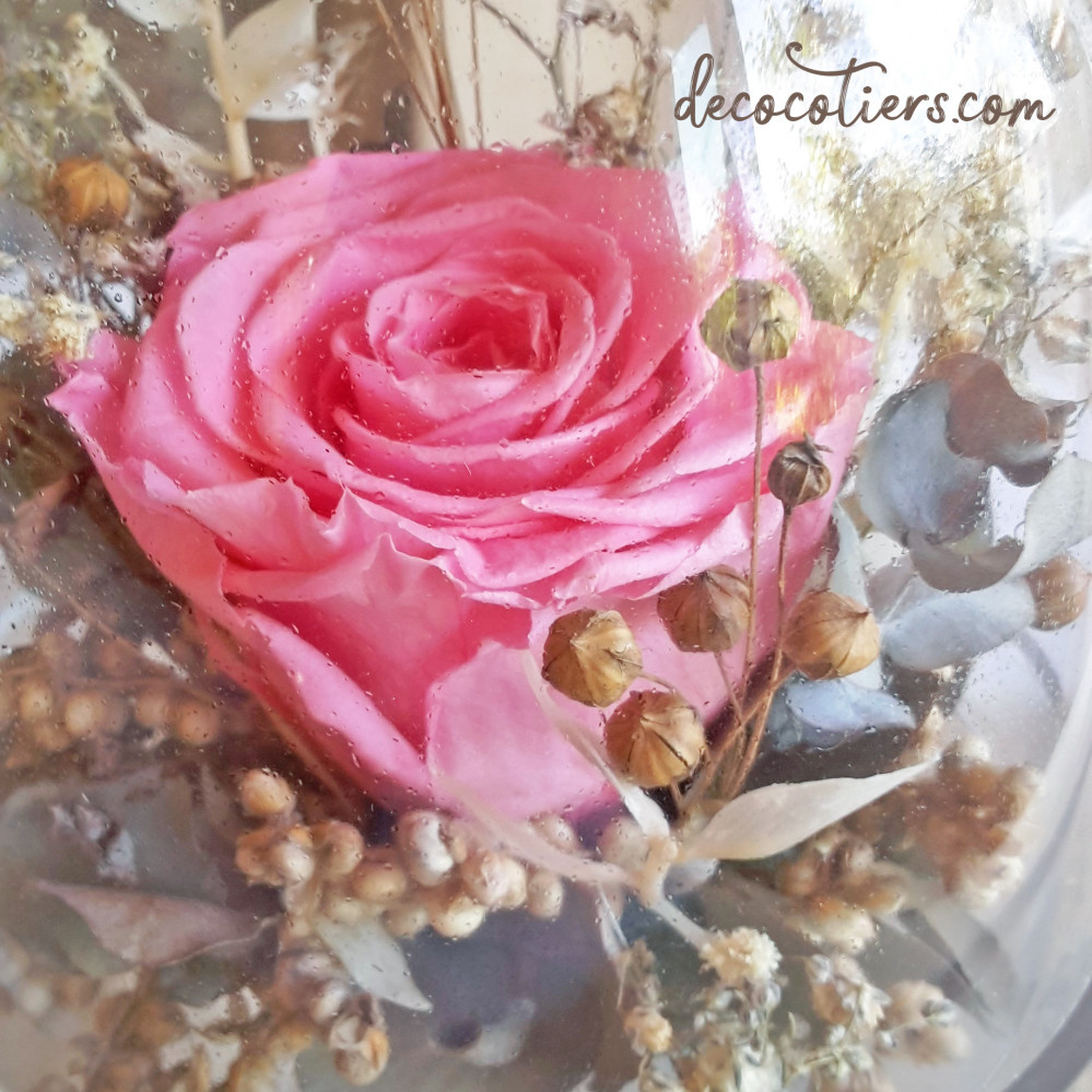 « Cloche sur pied en verre avec rose éternelle et fleurs séchées »