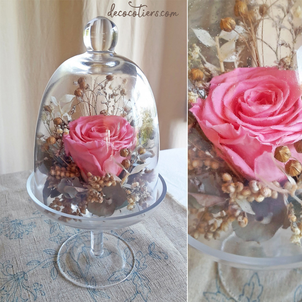 « Cloche sur pied en verre avec rose éternelle et fleurs séchées »