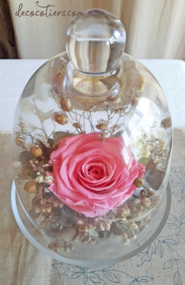 « Cloche sur pied en verre avec rose éternelle et fleurs séchées »