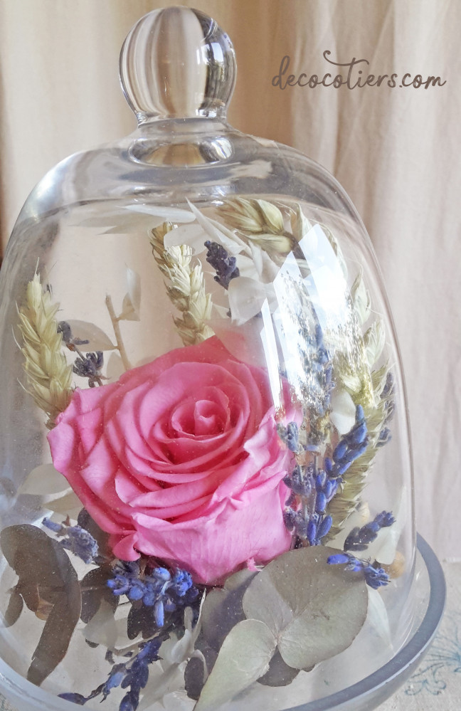 « Cloche sur pied en verre avec rose éternelle et fleurs séchées »