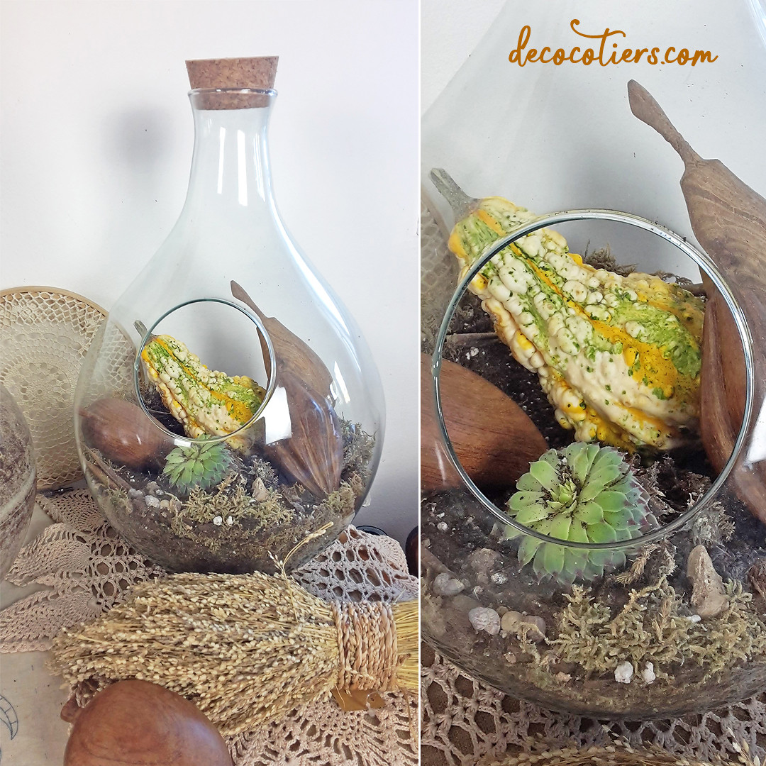 nbsp;Terrarium et son bouchon de liège, à composer !! vendu vide » -  Décocôtiers