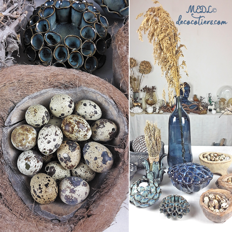 « Noix  de coco » Taille moyenne