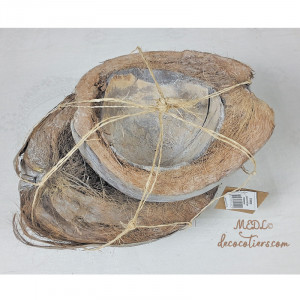« Très grande Noix de coco »