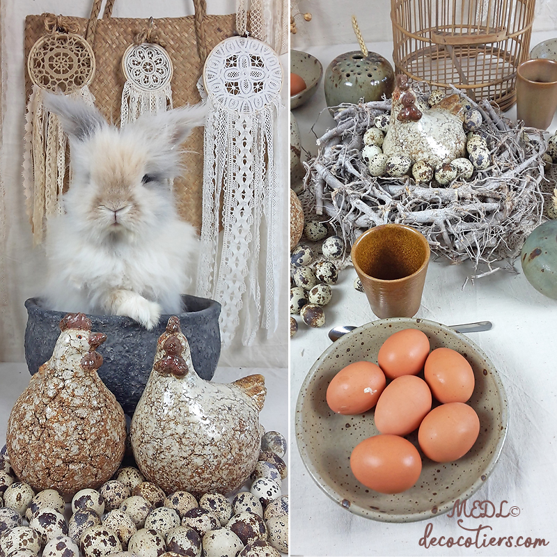 «&nbsp;Les belles cocottes de Décocôtiers&nbsp;»