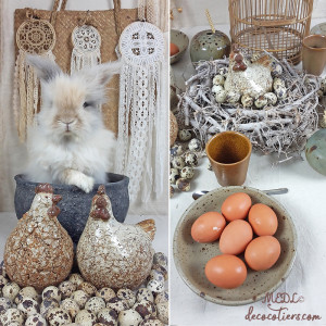 POULES_RASTA_PAQUES_12.jpg