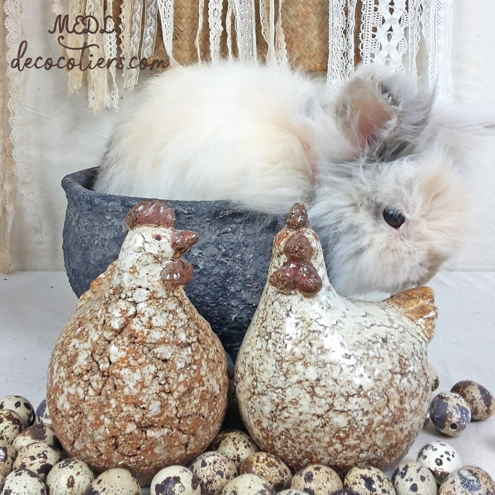 «&nbsp;Les belles cocottes de Décocôtiers&nbsp;»