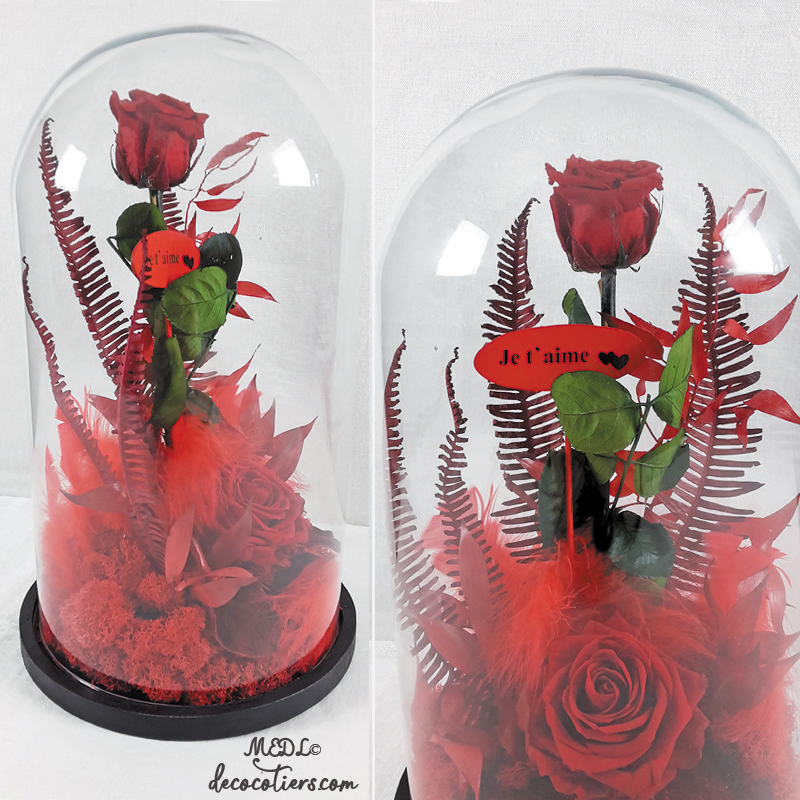 Pour lui dire « Je t'aime » : « Des roses éternelles sous cloche »