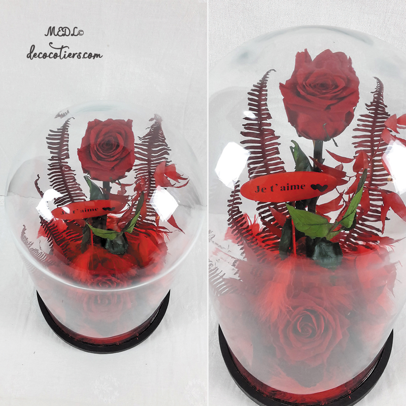 Pour lui dire « Je t'aime » : « Des roses éternelles sous cloche »