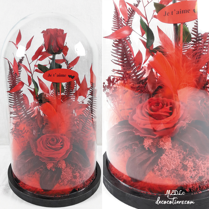 Pour lui dire « Je t'aime » : « Des roses éternelles sous cloche »
