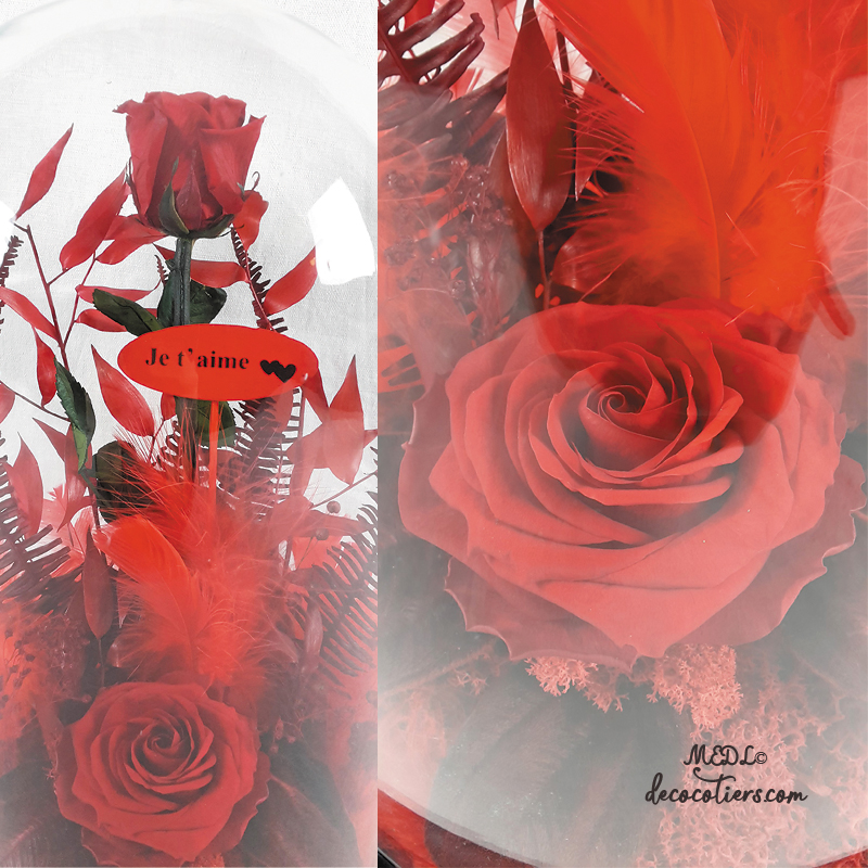 Pour lui dire « Je t'aime » : « Des roses éternelles sous cloche »