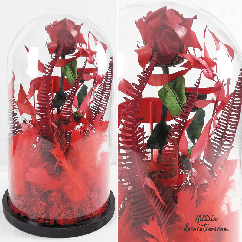 Pour lui dire « Je t'aime » : « Des roses éternelles sous cloche »