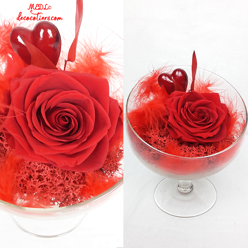 Pour lui dire « Je t'aime » : « Une rose éternelle dans sa charmante coupe »