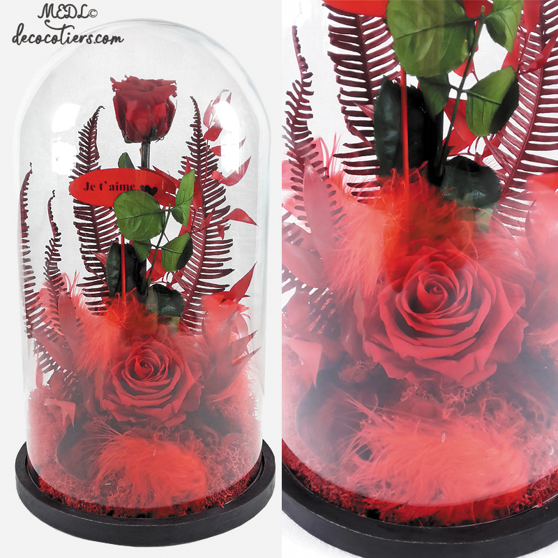 Pour lui dire « Je t'aime » : « Des roses éternelles sous cloche »
