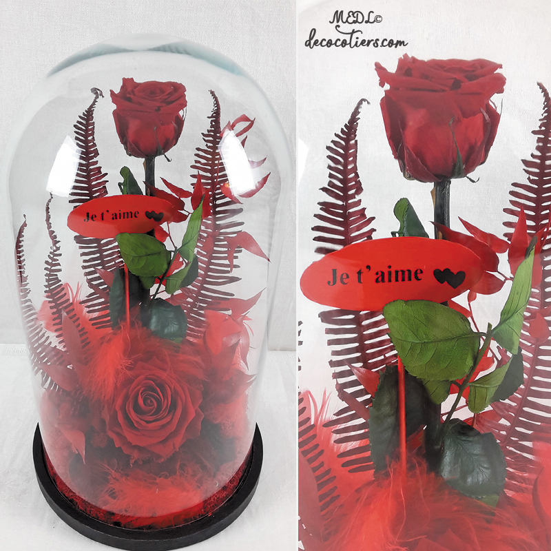 Pour lui dire « Je t'aime » : « Des roses éternelles sous cloche »