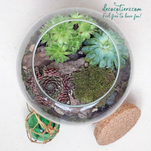 INSTA_TERRARIUM_12_2.jpg