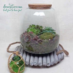 BELAIRE - Terrarium Grand modèle, bouchon de liège