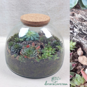 « Terrarium et son bouchon de liège, à composer !! vendu vide »