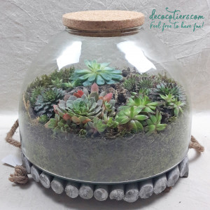 TERRARIUM_PLEIN_2_INSTA_3.jpg