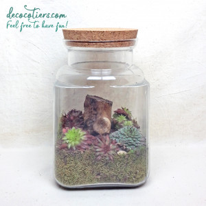 TERRARIUM_PLEIN_5_INSTA_2.jpg