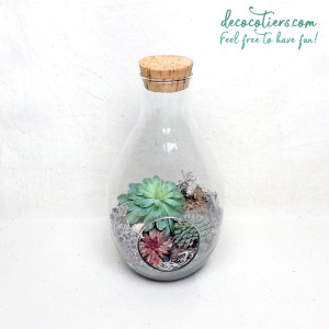 TERRARIUM_PLEIN_9_INSTA_6.jpg