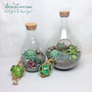 TERRARIUM_PLEIN_9_INSTA_7.jpg