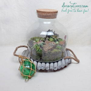 TERRARIUM_PLEI_14_INSTA_1.jpg