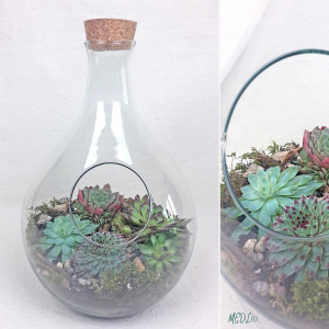 TERRARIUM_decoco_1.jpg