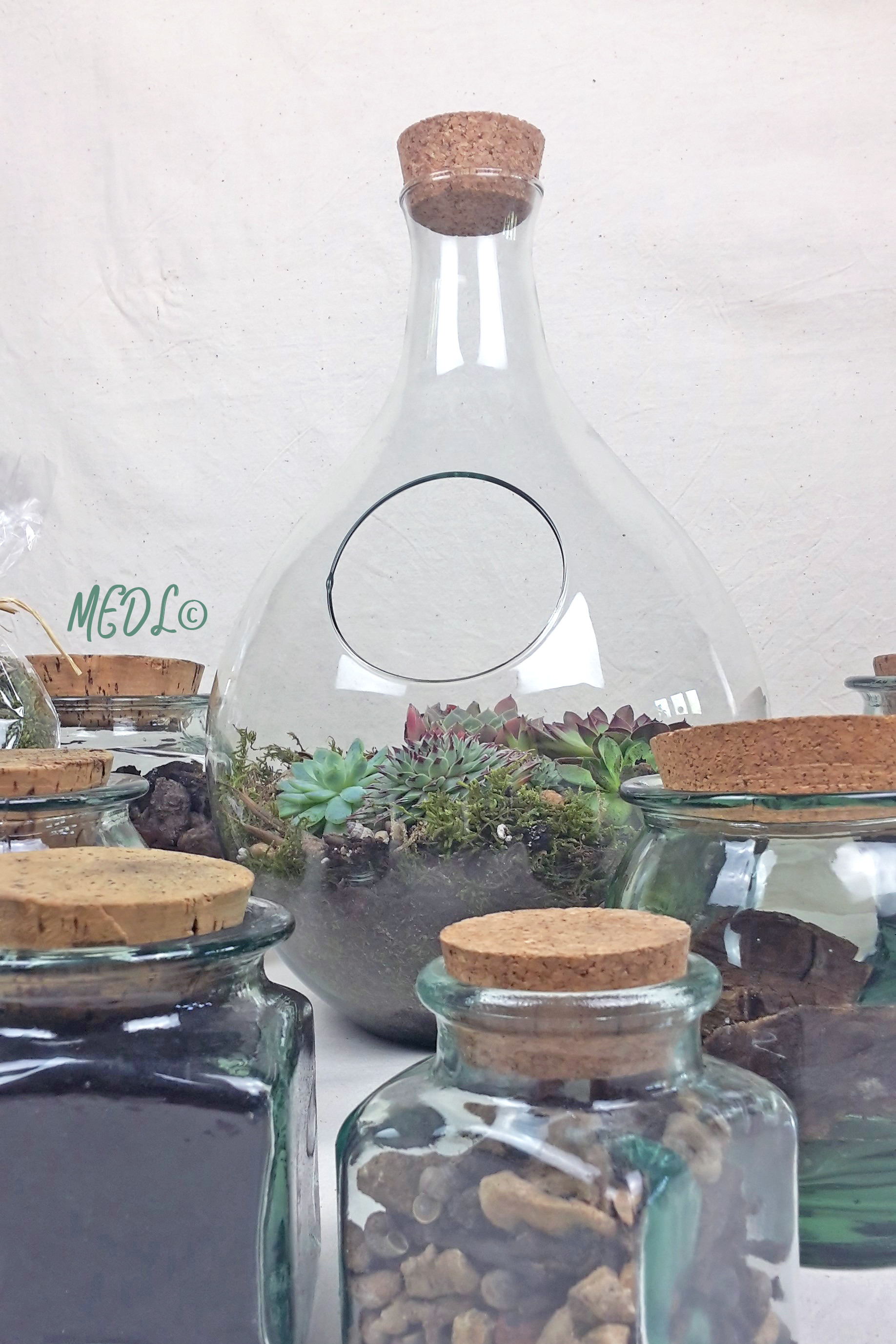 nbsp;Terrarium et son bouchon de liège, à composer !! vendu vide » -  Décocôtiers