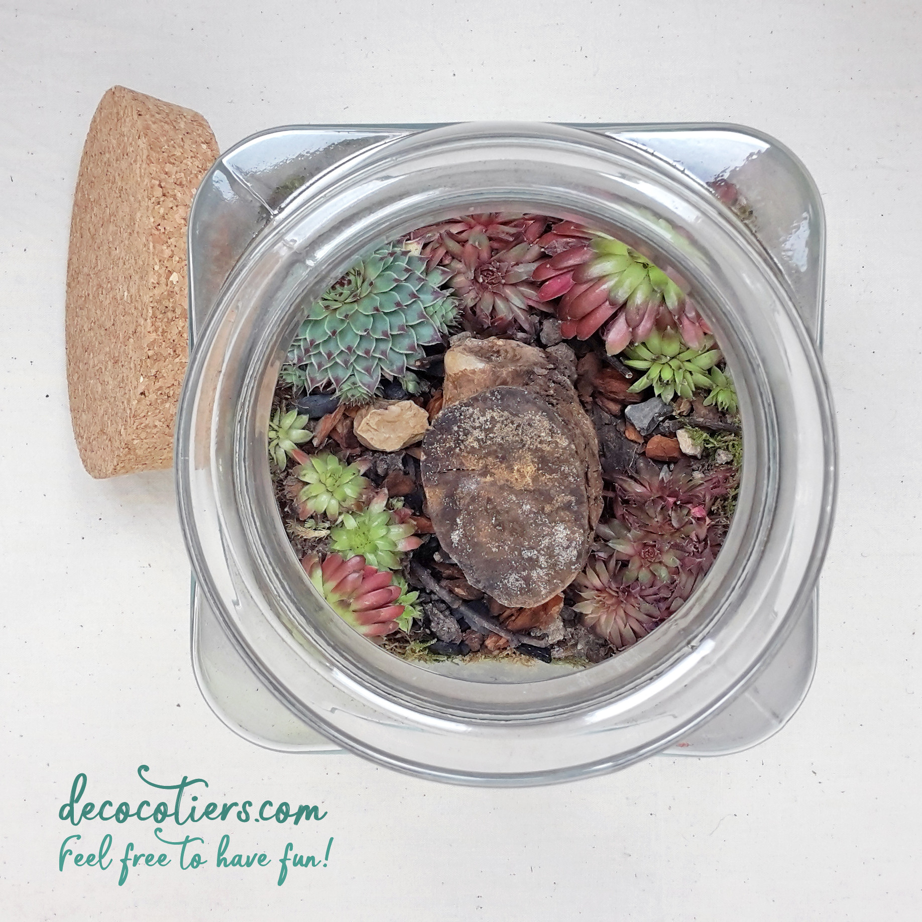 nbsp;Terrarium et son bouchon en liège, à composer !! vendu vide » -  Décocôtiers